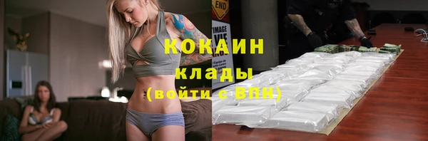 хмурый Михайловск