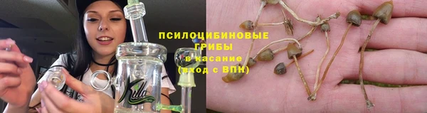 2c-b Михайлов