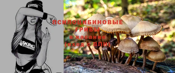 2c-b Михайлов