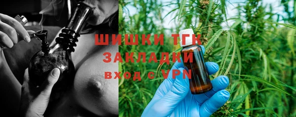 хмурый Михайловск