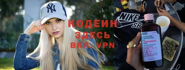 хмурый Михайловск